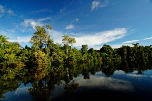 Alta Floresta - Rio Teles Pires