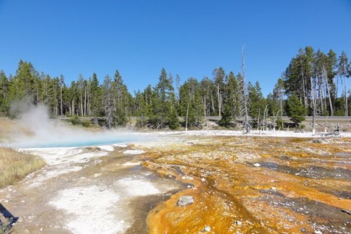 Parque Nacional de Yellowstone