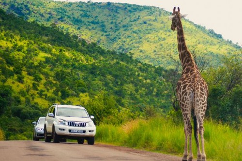 Parque Nacional Kruger